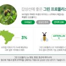 바로그린 이미지