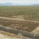 전주지방법원(정읍지원) 이미지