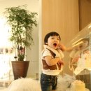 베리스튜디오 이미지