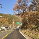 원동초등학교 이미지