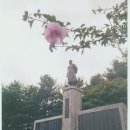 한서남궁억기념관 Daum카페