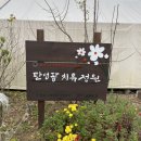 판앤팜 치유정원 이미지