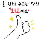 선 동물병원 이미지
