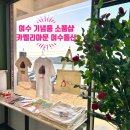 카멜리아펜션 | 여수 여행 가볼만한곳 기념품 소품샵 쇼핑 카멜리아문 여수돌산점