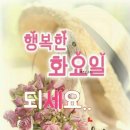 양자의 원리와 파동의 세계 이미지