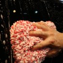 더디테일비 이미지