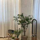 종로-신교-종로-신-210 | [오붓 서포터즈] 🌷광화문역 근처 &#39;요가온&#39; 하타 요가 클래스 설레는 1회차 후기!🌷