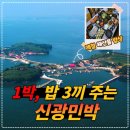 죽도 Daum카페