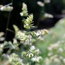 호영목장 이미지