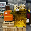 하나로마트 | 당산역 하나로마트 오픈 후기｜영등포 장보기 + 배달지역 정보 총정리