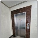 원신흥동 흥도초등학교 버스정류장 이미지