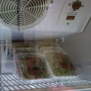 파주축산물도매센타