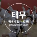 멘토 경희대 태권도 교육관 이미지