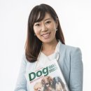 웨스턴 동물의료센터 이미지