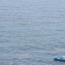 함덕 바당 이미지