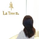 현s헤어 | [진주 평거동 미용실 후기] 라트리헤어스파힐 진주평거점에서 매직셋팅했어요