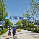 연세대학교 재활학교 | [연세대학교 아카라카 후기] 제3회 동문 아카라카 참여후기 : 2026 연세여 사랑한다💙(feat.뙤약볕10시간)