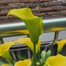 수빈목장 이미지