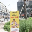 로봇초밥마켓배곧