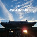 [야간 가족 프로그램] 밤밤 무슨 밤? | 창경궁 야간투어 아이와 가볼만한곳, 야간개장 해설 후기