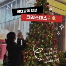 칭다오 팔대관 크리스마스마켓 솔직후기(입장료9위안...城店) 완전 강추/ 헤이티 메뉴추천 녹차당고라떼