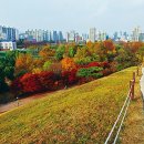 송파구 한성백제왕도길 이미지