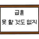 홀리디테일링 이미지