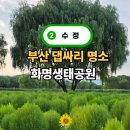 율리지하철역(08030) | 부산 나들이 화명생태공원 댑싸리 명소 수정역 짐보관