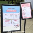 블루밍독 | LG트윈스 X 먼작귀 2차 팝업 후기｜웨이팅 꿀팁, MD 실물 그리고 블루밍테일 마킹키트까지