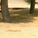 명곡초등학교 이미지