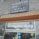 갱스터도그 이미지