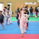 마이 태권도장 이미지