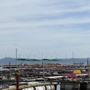 수진좌대 이미지