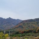 까페수