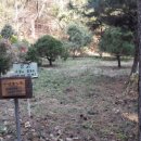 황금빛농장 이미지