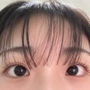 [춘천/속눈썹 펌] 후평동속눈썹연장/펌 블링아이 후기, 1:1 맞춤 자연스러운 디자인에 감동✨