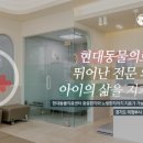 메인동물병원 이미지