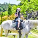 승마공원 이미지