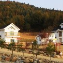 로하스밸리 이미지