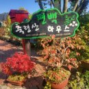 편백하우스 이미지