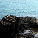 양남주상절리 이미지