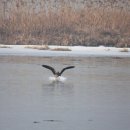 경안천 4 이미지