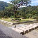 오성 PC | 완주 두베카페 후기｜소나무 정원과 수로가 만든 조용한 풍경