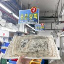 조은타워 | 부산 광안리 회포장 현지인 추천 노포 횟집 조은상회 후기