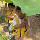 송제농원 이미지