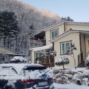 석달열흘가리 이미지