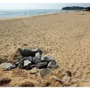 청호동 어구보수보관장 이미지