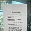 [영종도 카페] 애견 동반이 가능한 커피 맛집 &#34;콘크리트 가든&#34; 내돈내산 방문후기