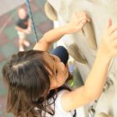 미르초등학교 이미지