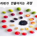 겸손한커피